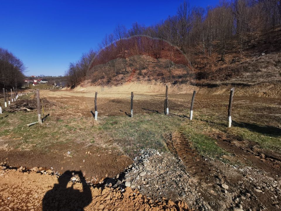 Teren pentru cabană lângă pădure