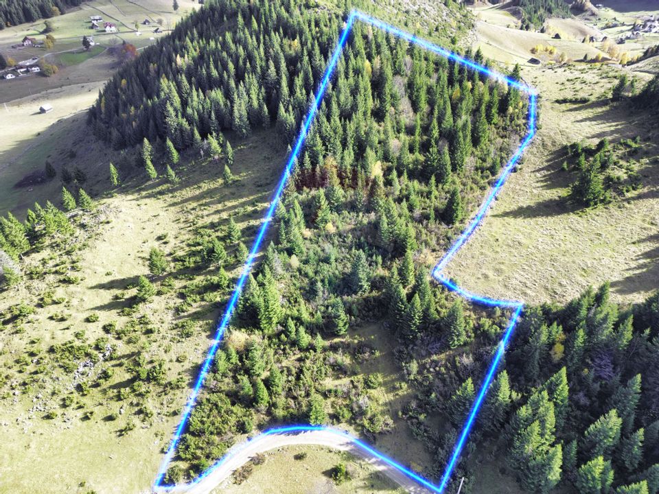 Land in Fundata.The Perfect Opportunity in the Heart of the Mountains!