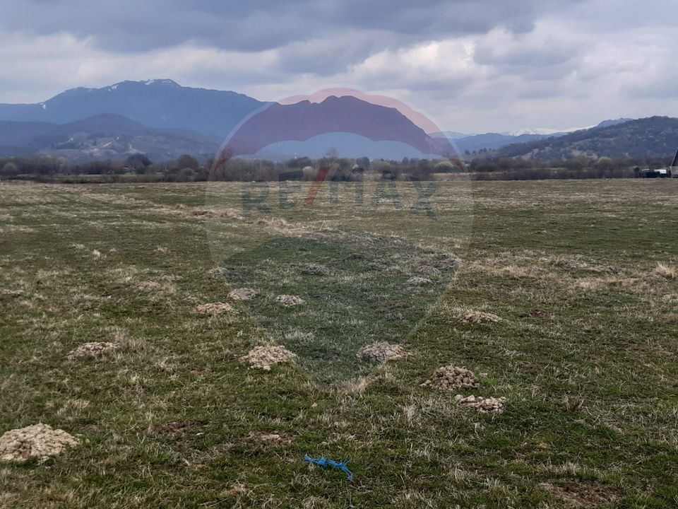 Teren 10,000mp Rasnov / Drumul Panicel