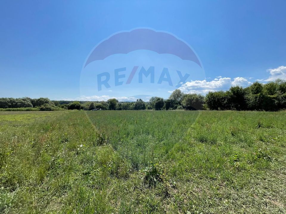 TEREN  INTRAVILAN  5000mp ORAS CISNADIE  STR. SELIMBARULUI