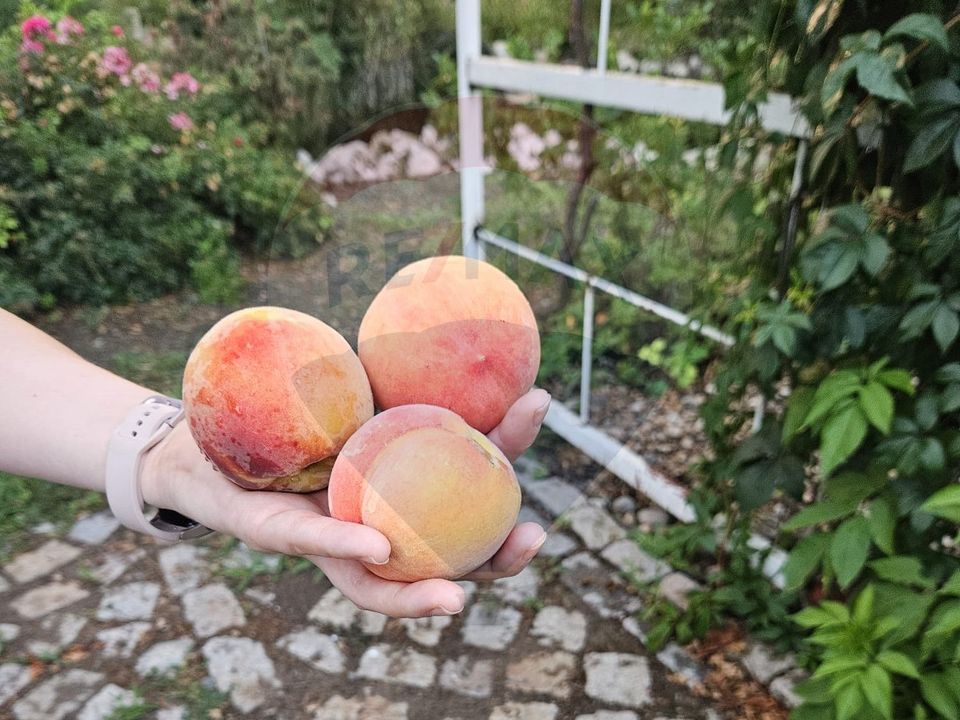 7 room House / Villa for sale, Periferie area