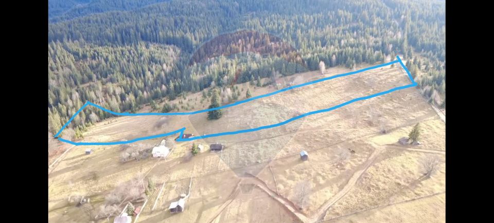 Teren intravilan 26232m.p.  Dorna-Arini / Cozănești