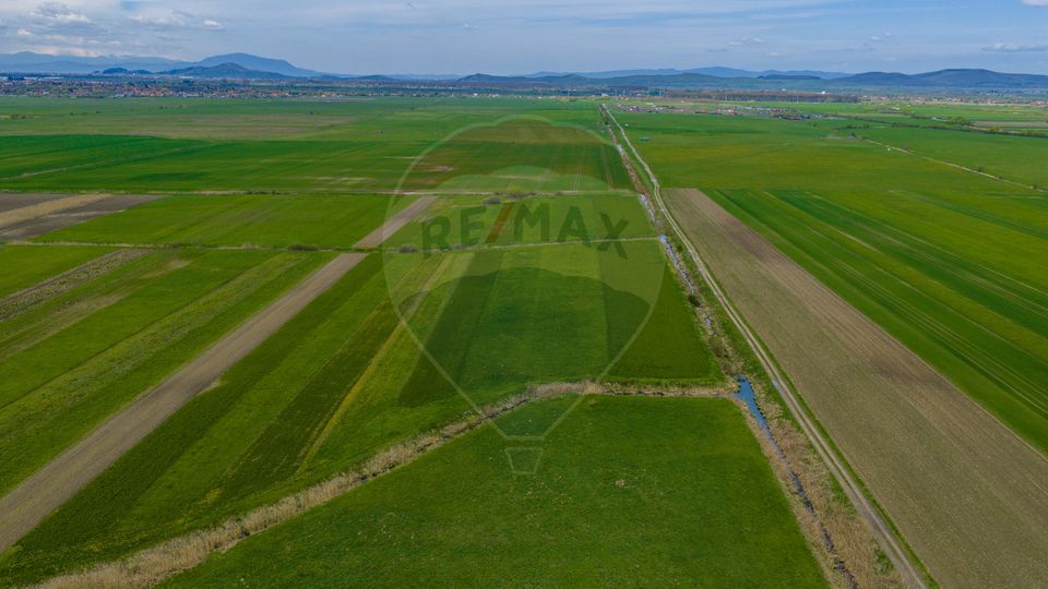 Land 4,000sqm Stupinii Prejmerului / Strada FN