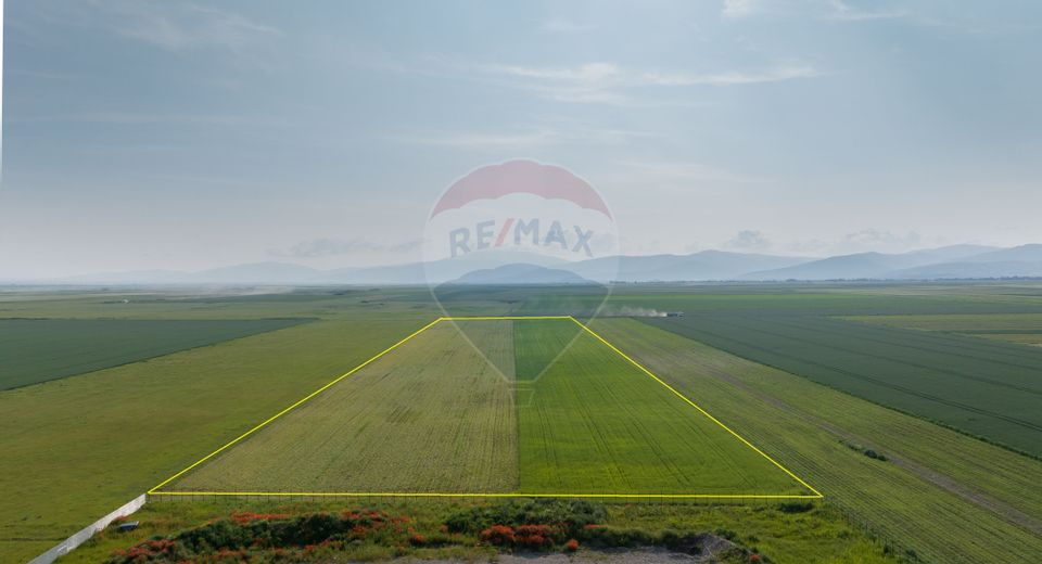 Teren 42,000mp Tarlungeni / Strada Izvor