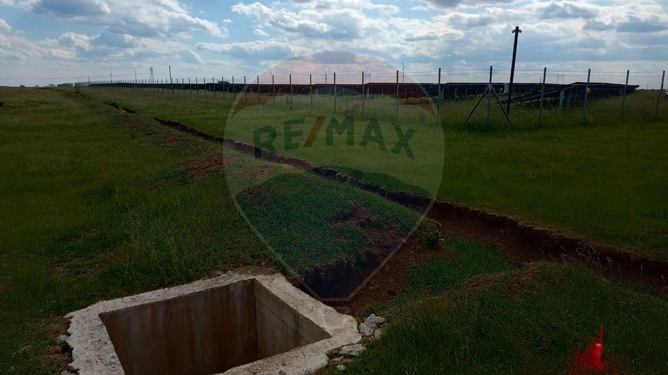 Land 11,000sqm Frumuseni / None