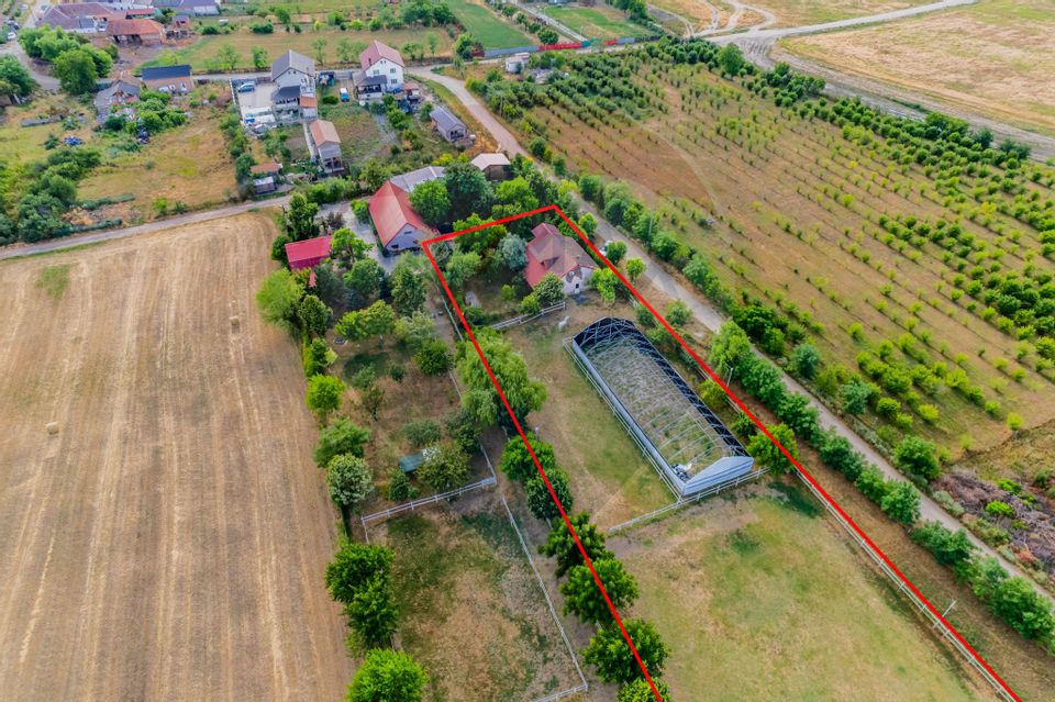 Land 4,000sqm Zadareni / Drumul Drumul principal
