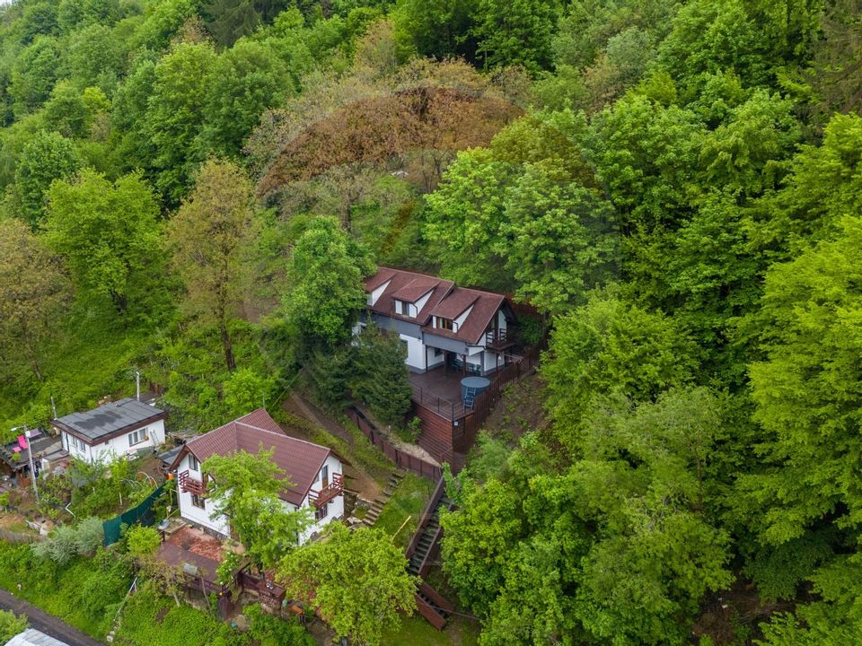 Casa in inima naturii - Brașov