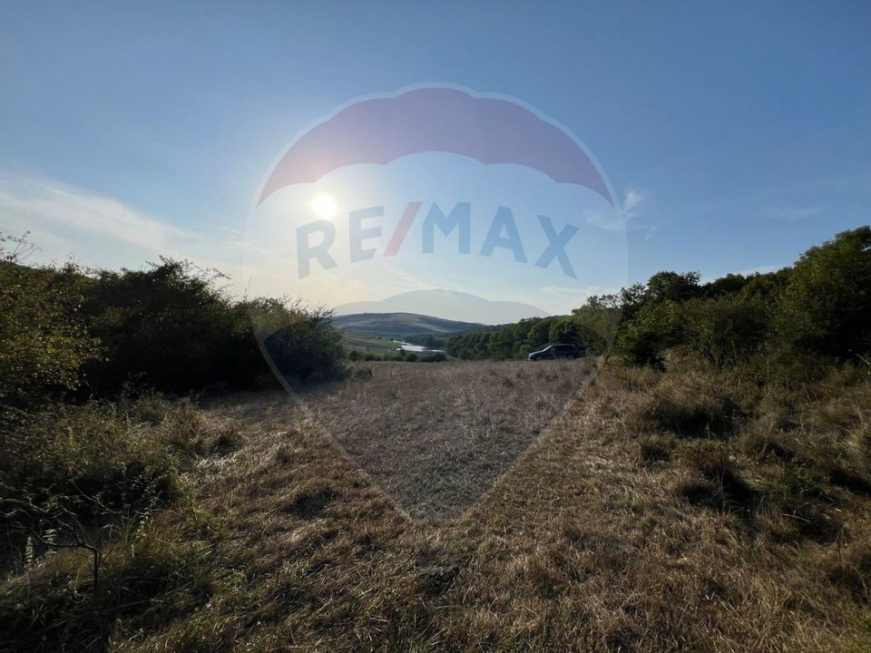 Land 50,000sqm Caianu-Vama / Strada Principala