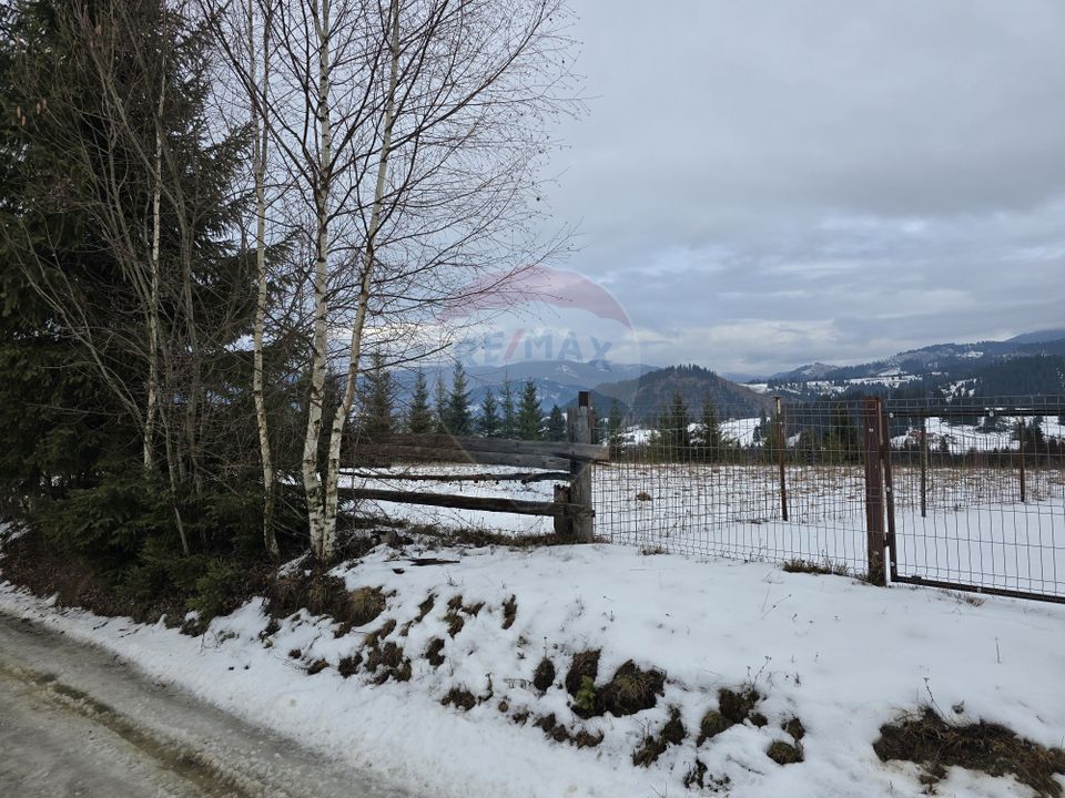 Teren 3,868mp Dorna-Arini / Strada Principala