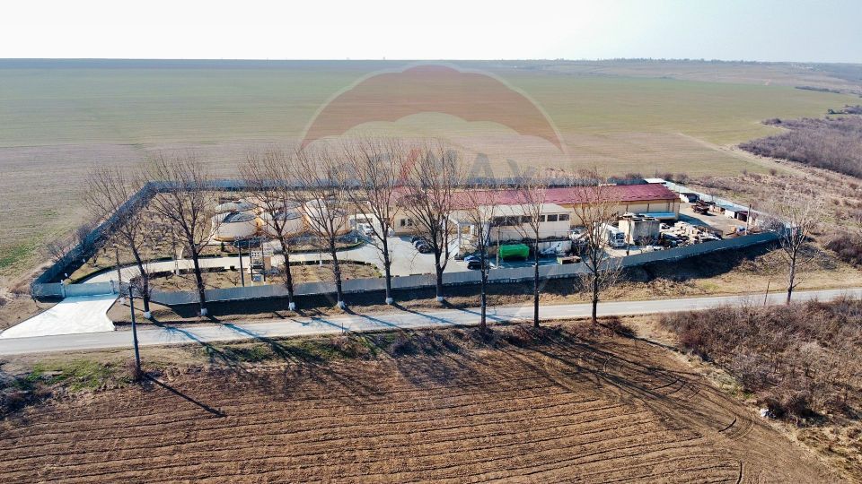 Crama din Buciumeni Afacere la cheie