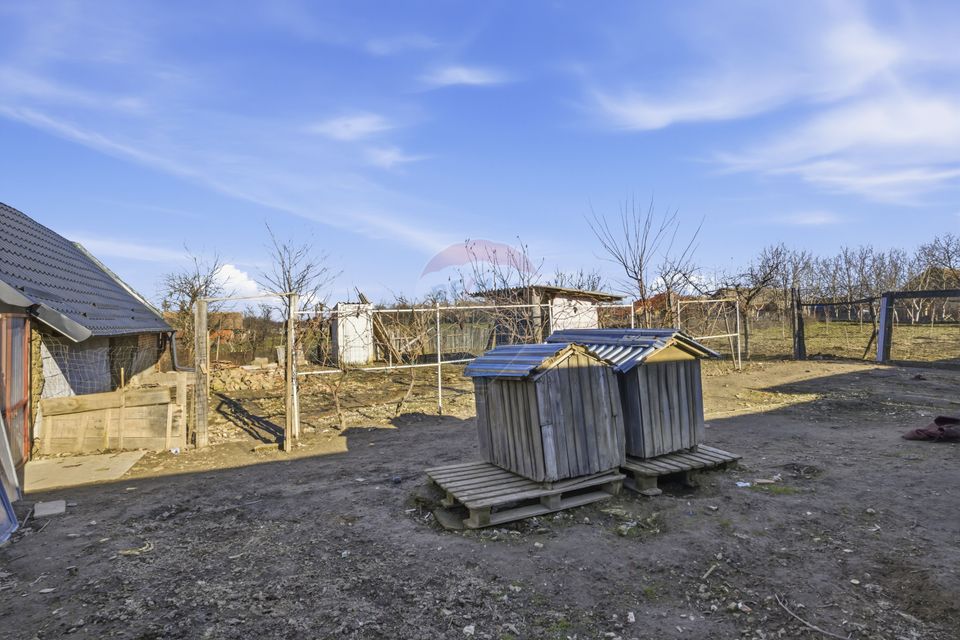 Casă renovată cu teren generos în Satu Mare,Secusigiu