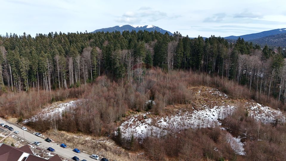 Land 1,000sqm Predeal / Strada Poiana Narciselor