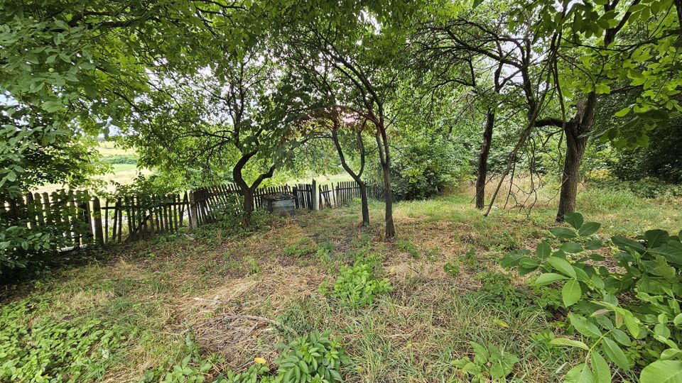 Teren intravilan 2,036mp Pădureni-Șendriceni, Botoșani