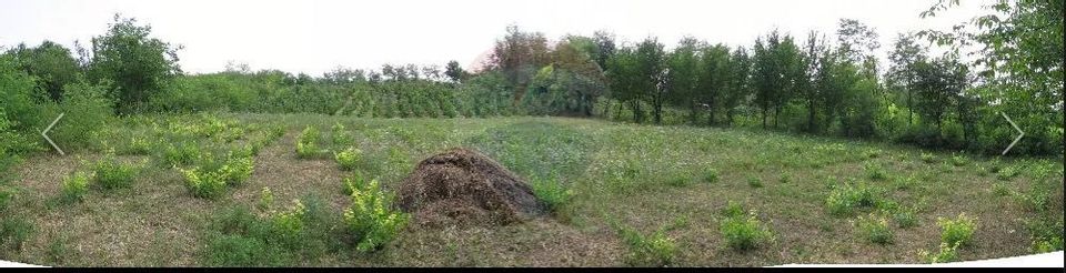 Land 6,890sqm Crasna / Strada Crasna