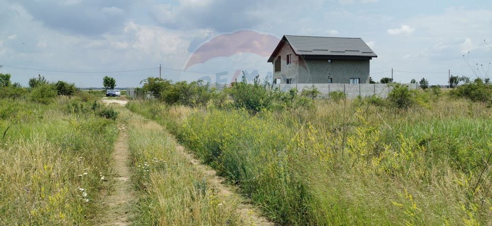 Teren Otopeni -ODAI / Strada Constantin Brancoveanu