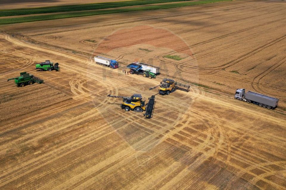 Teren 500 h plus 1000h arenda Vrancea