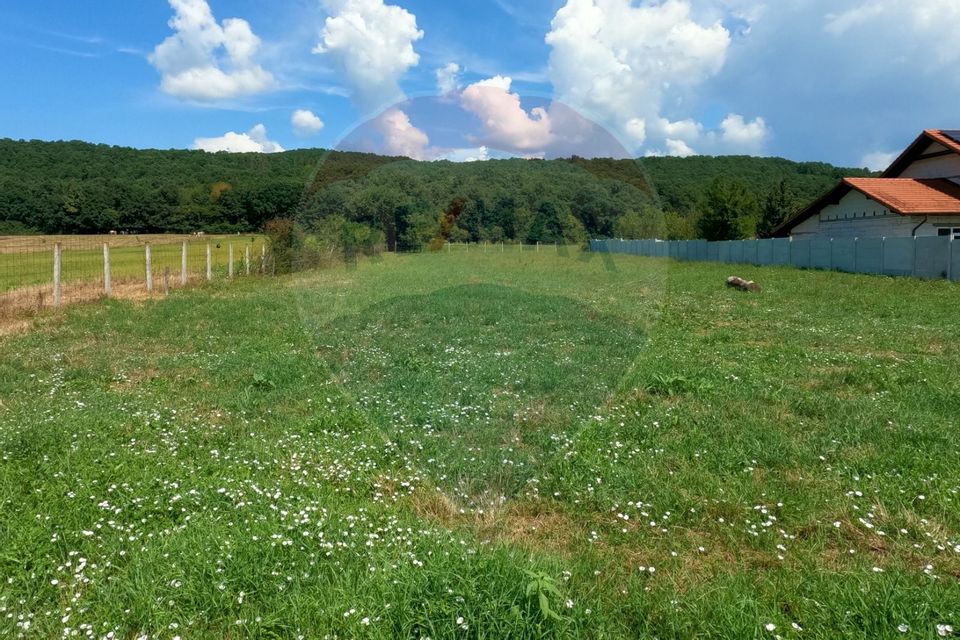 Teren intravilan Balata /Hunedoara