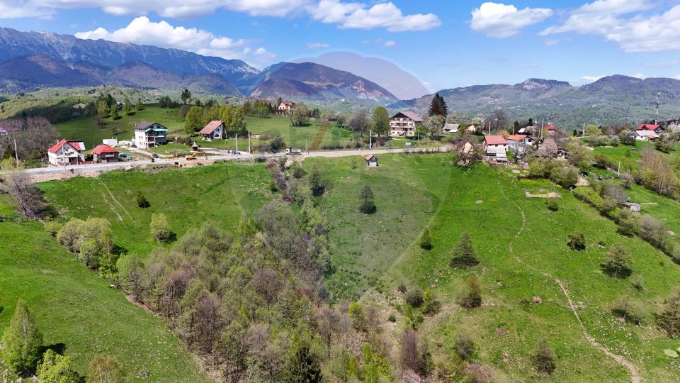 Land 5,694sqm Moieciu / Drumul Drumul Carului