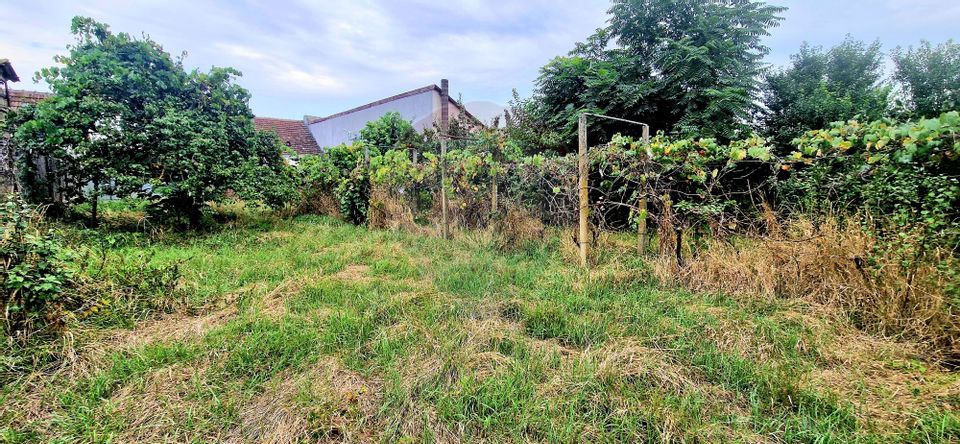 Casă cu teren de 750 mp, Chisineu Cris