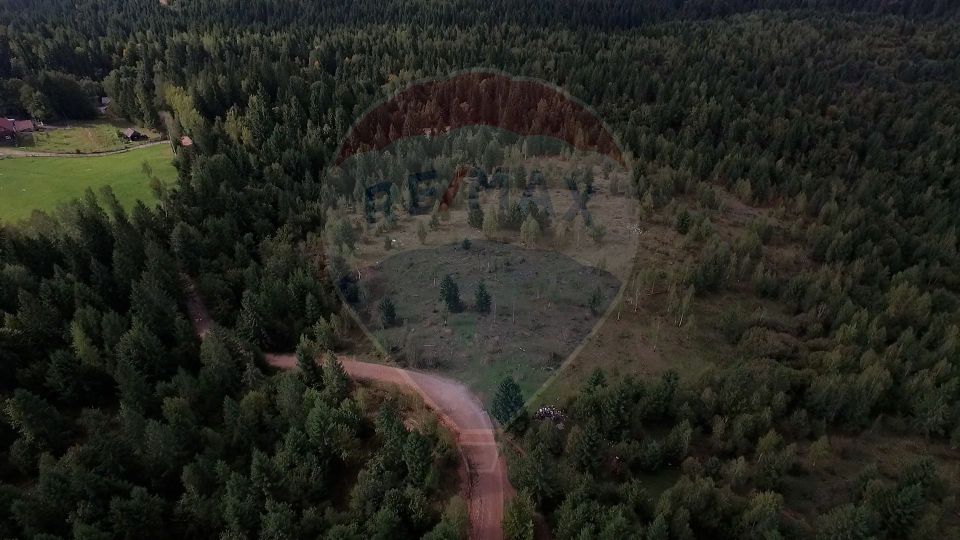 Teren extravilan parcelabil Călățele Pădure, zona Dealu Negru