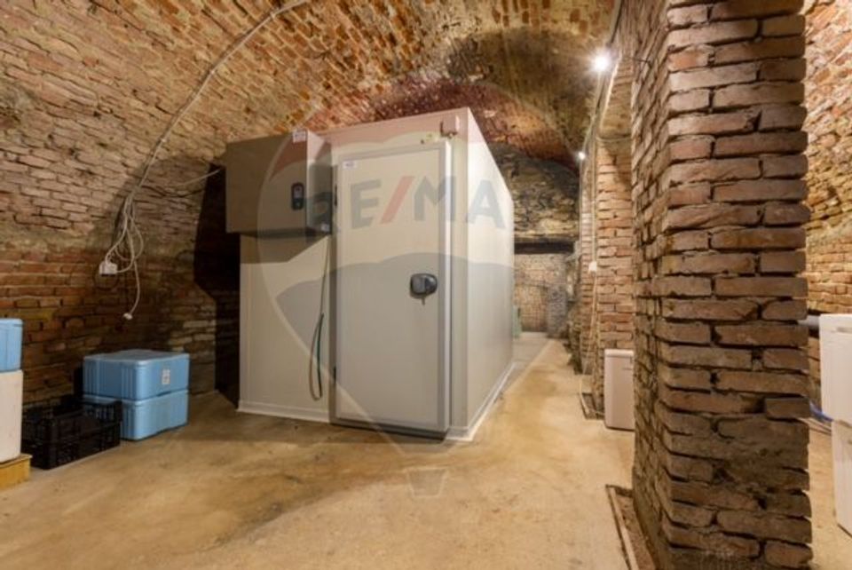 400sq.m Proprietate specială for sale, Ultracentral area