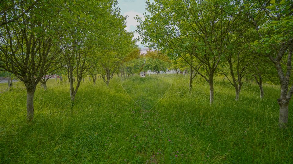 COMISION 0%! Casă cu 4 camere de vânzare in sanul naturii