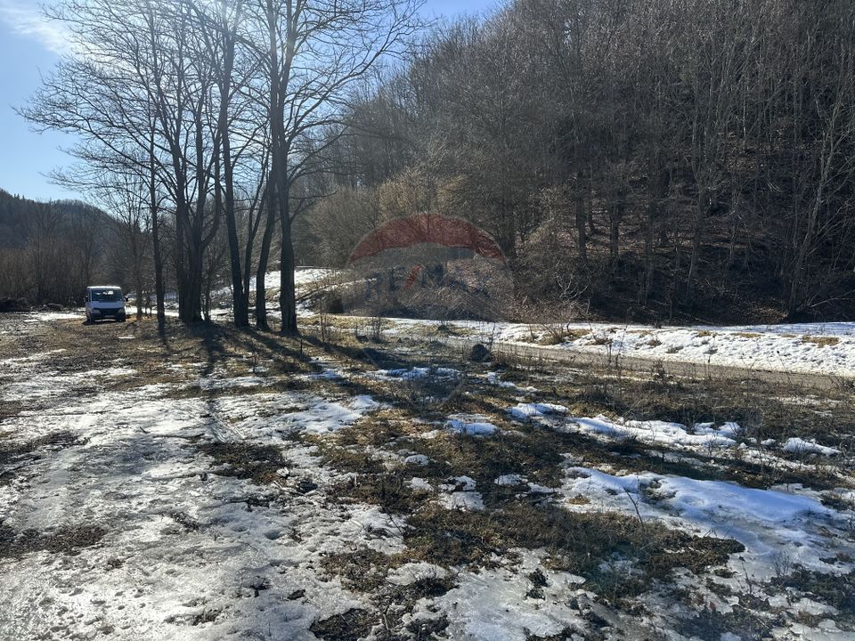 Land 1,340sqm Cuejdiu / Strada Cuejdiului