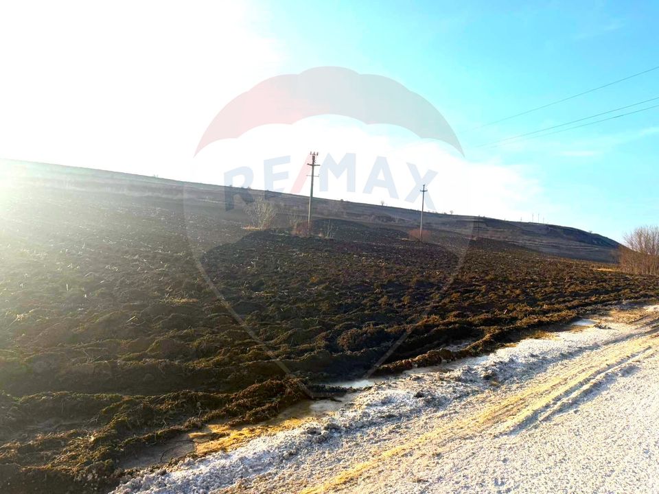 Land 4,956sqm Letea Veche / Calea BARLADULUI