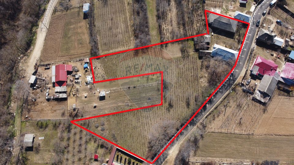 Casă cu teren  Neicu/Panciu