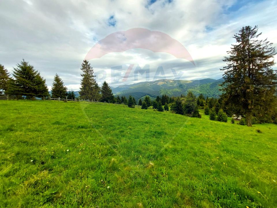 O fereastră către cer – teren de vis în Fundata, la poalele Bucegilor