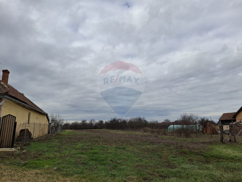 Land 1,241sqm Frumuseni / Strada FN