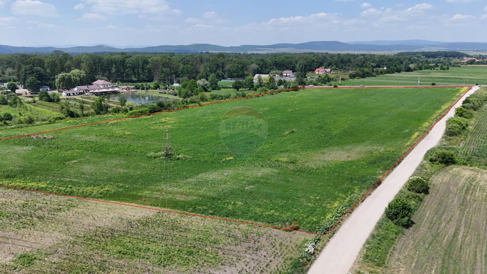 DN11 | 45.000 mp industrial | Front 155 ml | PUZ aprobat | UAT Prejmer