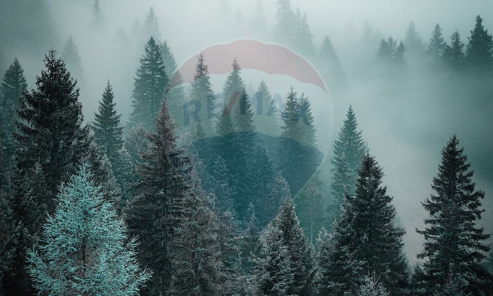 Land with Building Permit for Holiday Apartments, Poiana Brasov