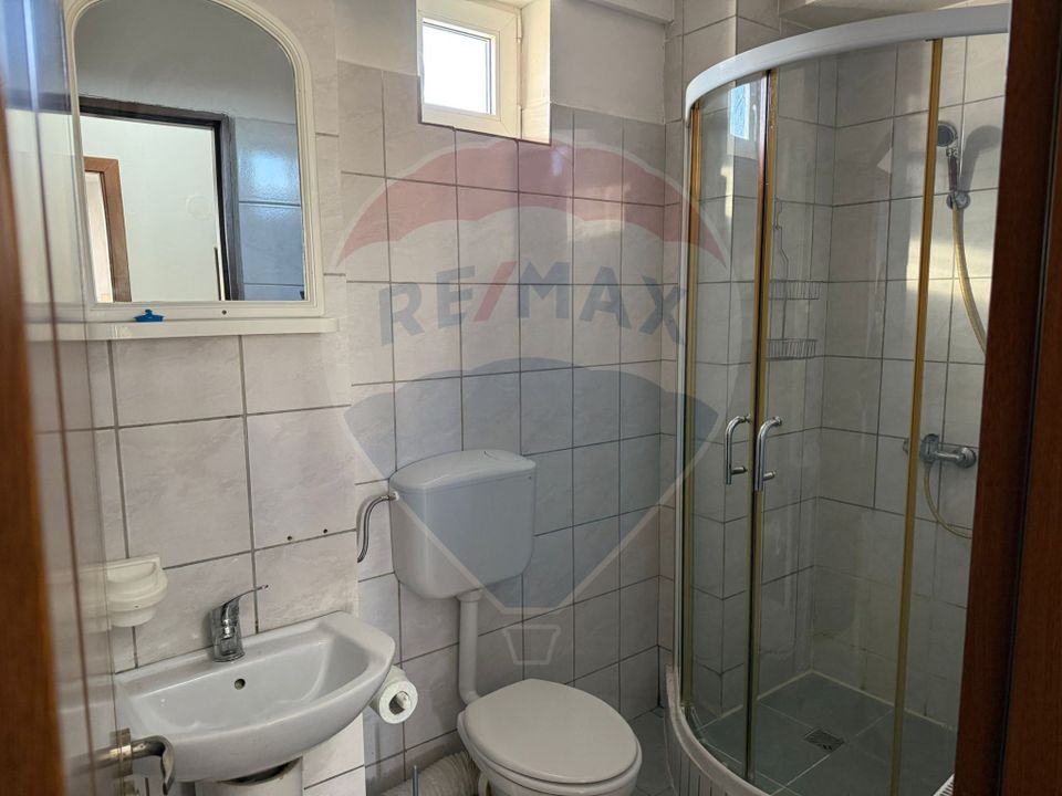 1 room Apartment for rent, Brazda lui Novac area