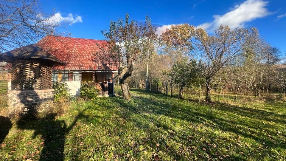 Vanzare Casa de vacanta cu teren 7286 mp Sisesti-Dumbravita, Maramures