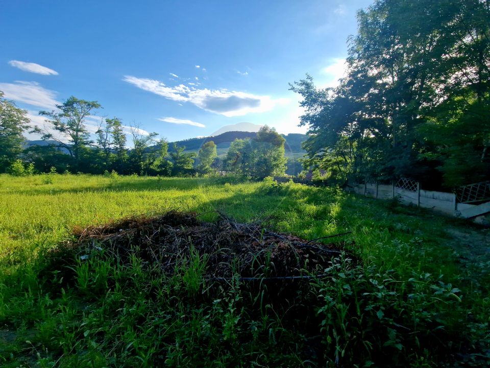 Teren 1,749mp Piatra-Neamt / Strada Zambilelor