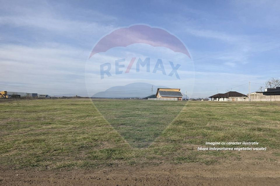 Land 7,478sqm Bucov / Strada Tineretului