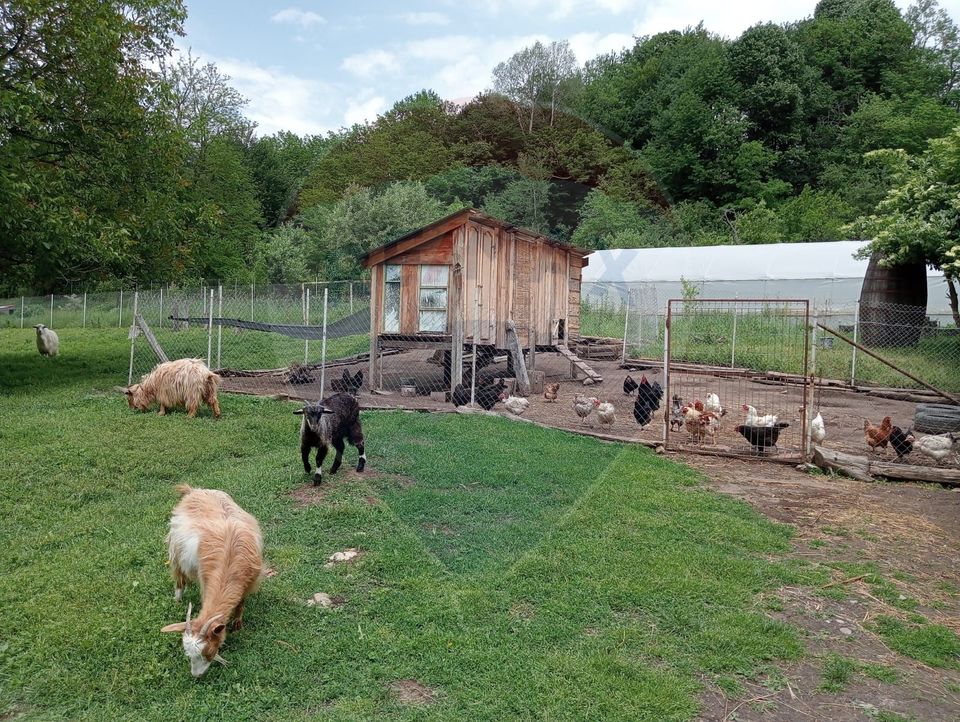 Vanzare casa  4 camere-microferma, cu panouri fotovoltaice