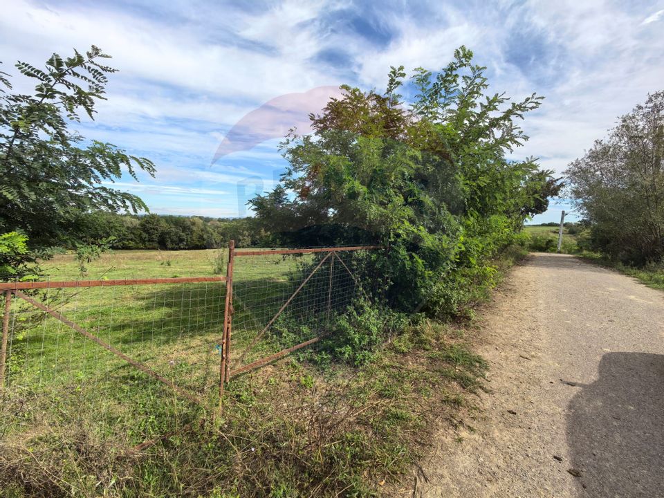 Teren 5,600mp Finteusu Mic / Strada Principala