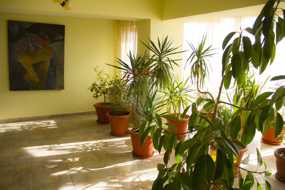 Hotel de vanzare Buftea IF –Cu 40 de camere