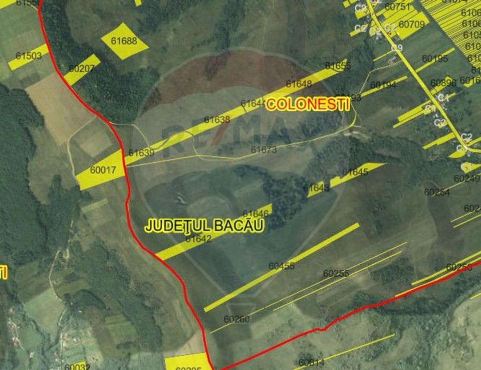 20 ha terenuri agricole de vanzare in Bacau