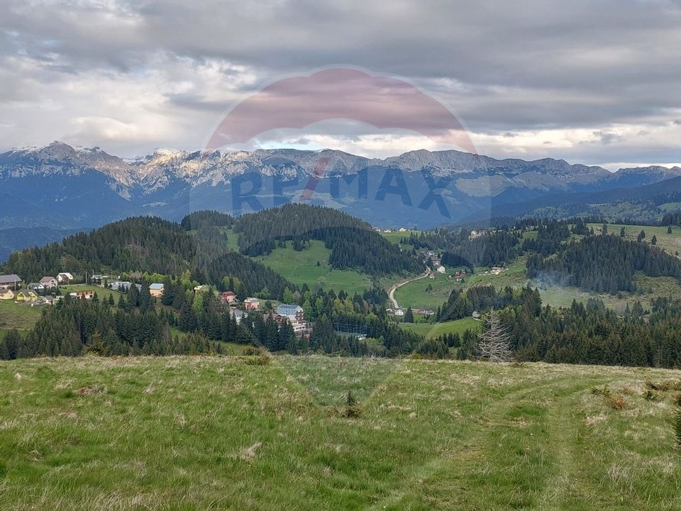 O fereastră către cer – teren de vis în Fundata, la poalele Bucegilor