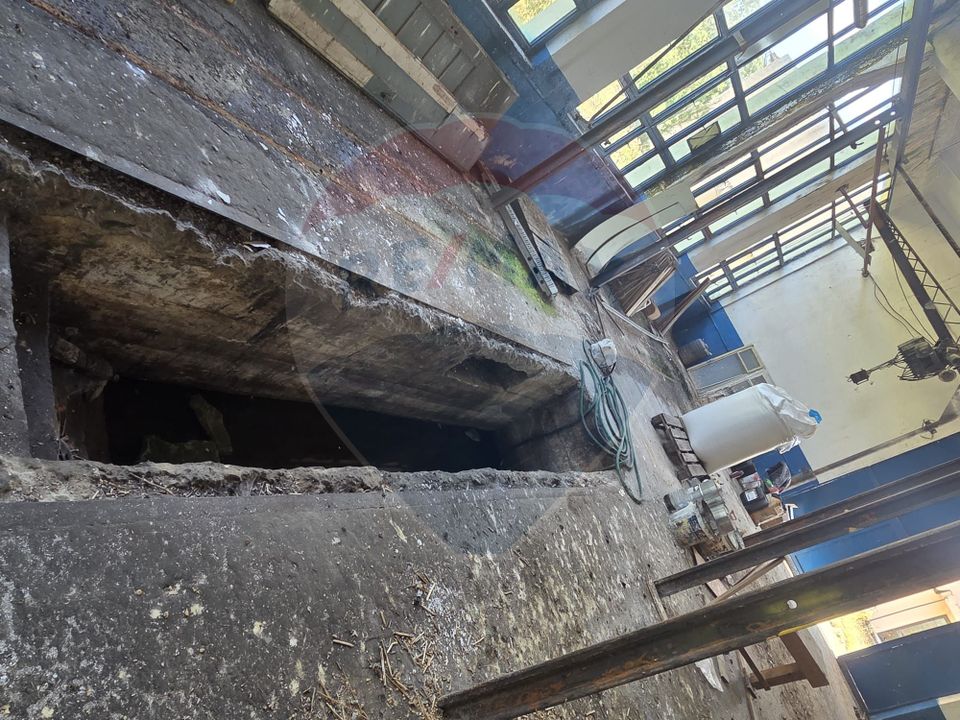 Spațiu industrial 15435 mp. de vânzare in Tinca.