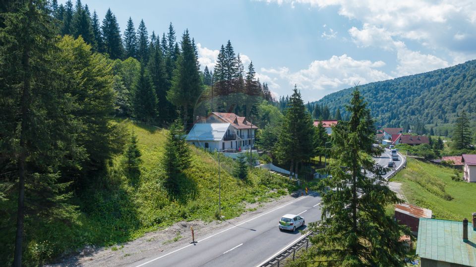 3 room House / Villa for sale, Malul Ursului area