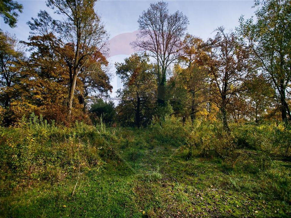 Domeniu Baronial de vanzare in localitatea CIL , Judet Arad
