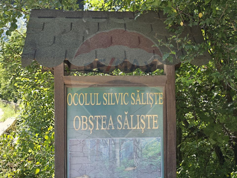 Teren 4,000mp Pascoaia / Soseaua Punctul Chiliilor