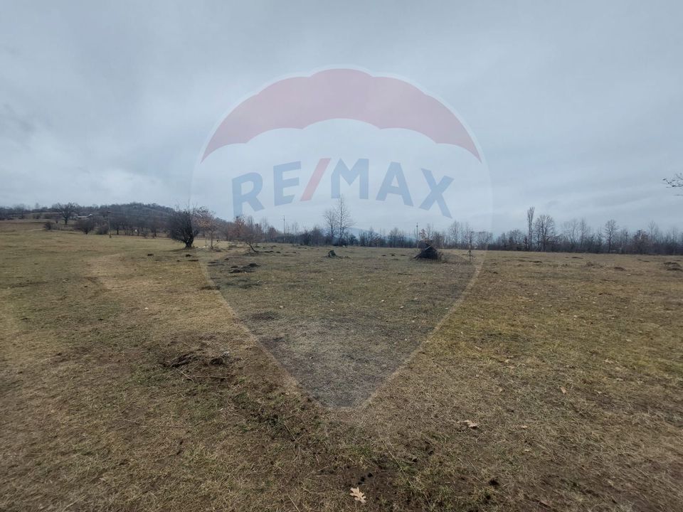 Land 11,400sqm Comanesti / Prelungirea Punct podina