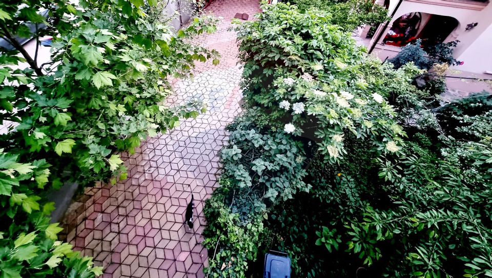 Vilă de inchiriat | Tineretului | Timpuri Noi