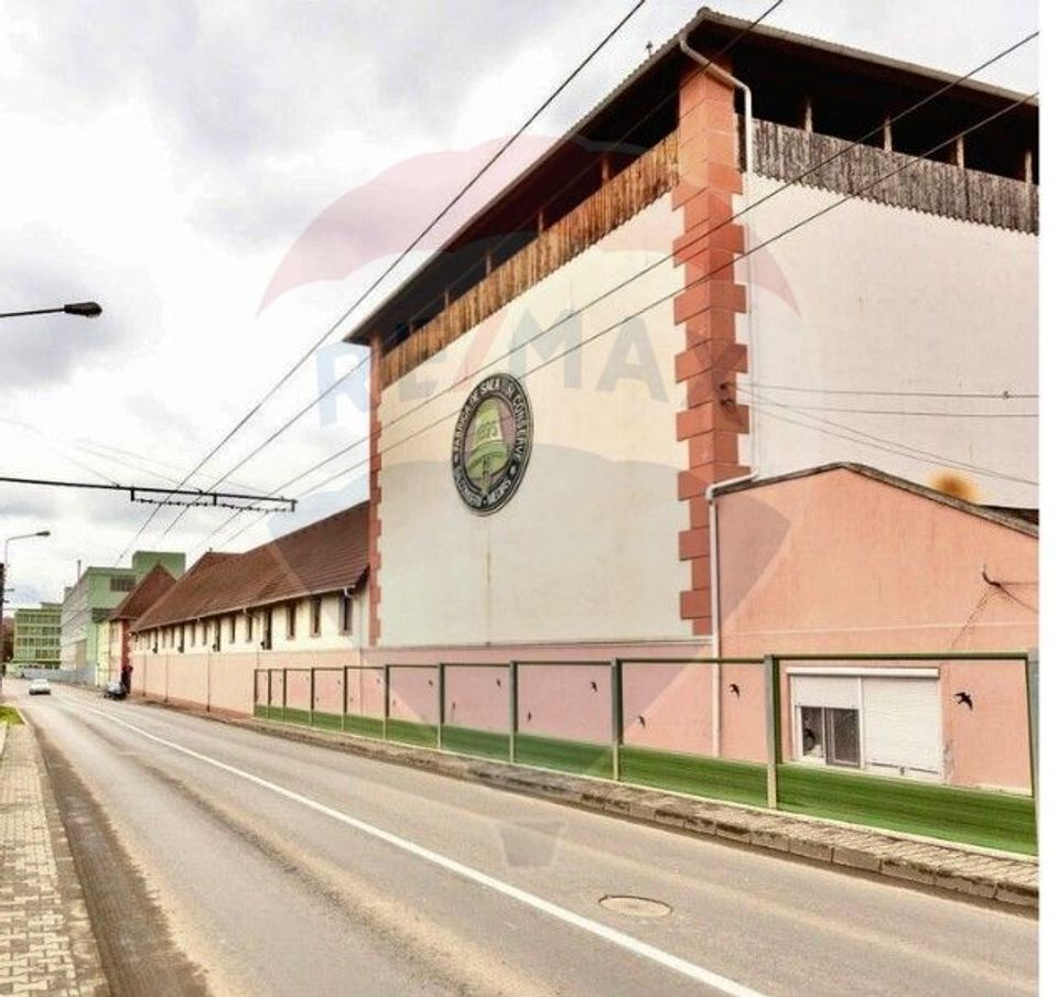 Fabrica de preparate si conserve din carne  la Medias