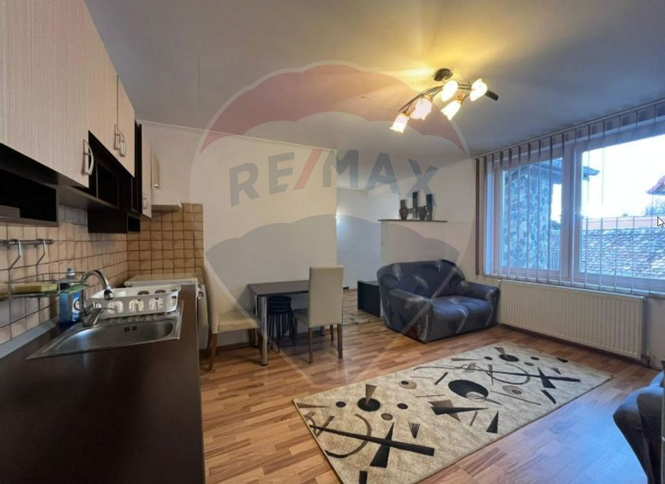 Apartament spațios-3 camere-la curte în Turnișor-Inchiriere